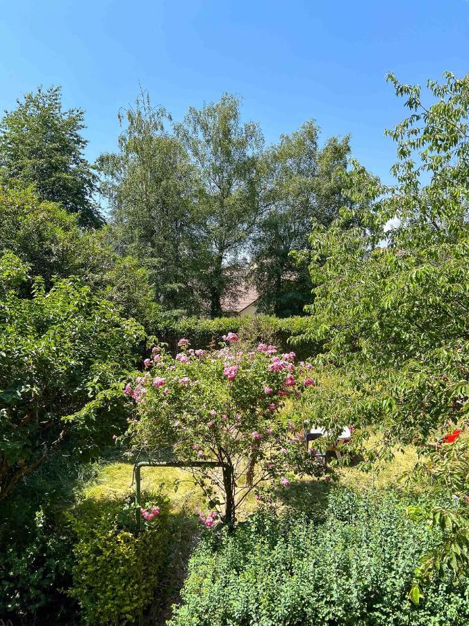 Apartment Le Jaures - Jardin Prive Et Netflix Belfort